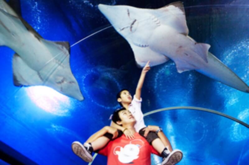 Underwater World Pattaya