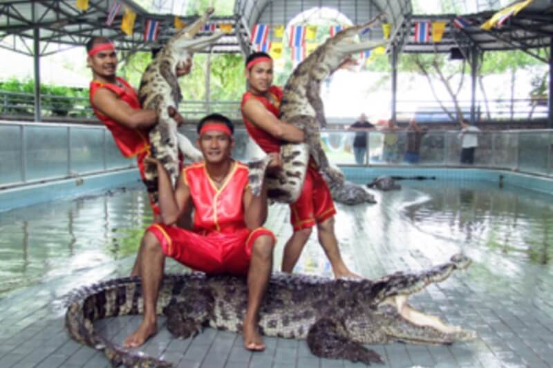 Twin Palms Resort Pattaya : Million Years Stone Park & Pattaya Crocodile Farm