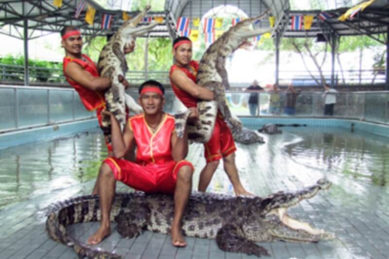 Million Years Stone Park & Pattaya Crocodile Farm